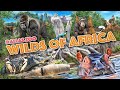 Zoo tours wilds of africa  dallas zoo