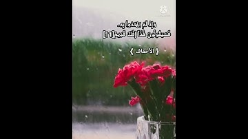 تلاوة رائعة من سورة الأحقاف للشيخ عبد الباسط عبد الصمد رحمه الله تعالى🌹quran#