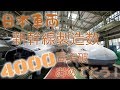 🎉日本車両4000両新幹線製造おめでとう！！！　360度記念祝電動画