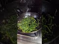 🌿 सर्दियों में जरूर बनाएं | मटर के पत्तों का साग | Healthy Winter Recipe |how to make matar ka saag