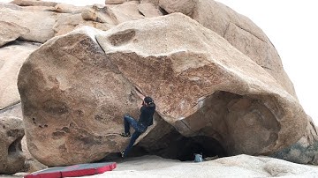 Joshua Tree - Pig Pen