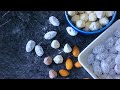 カリッと香ばしい＊アマンドショコラとノワゼットショコラの作り方 | Chocolate covered Almonds and Hazelnuts Recipe