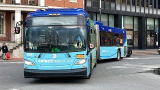 M15 M20 M55 & Express Bus Action At South ferry terminal￼