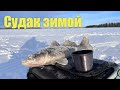 За судаками. Зимняя рыбалка в Финляндии. Panoptix Livescope.