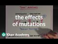 Genetic Mutations and Their Impact on Organisms