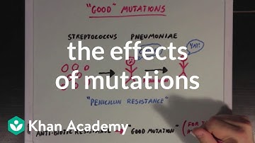 The effects of mutations | Biomolecules | MCAT | Khan Academy