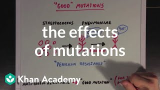 Download The Effects Of Mutations | Biomolecules | Mcat | Khan Academy Video MP3 The Effects Of Mutations | Biomolecules | Mcat | Khan Academy