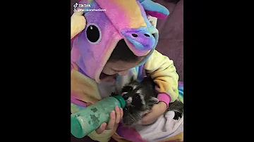 Чем кормить енота месячного