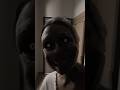 Hotel hag horror horrorstories ghost scary spooky creepy spooky jumpscare demon film mp3