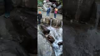 Pahado par tera dera. Jai mata di