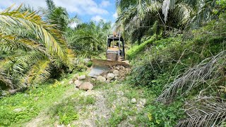 Repairing Roads in Palm Oil Plantations Due to Rain, D5K XL Bulldozer Works