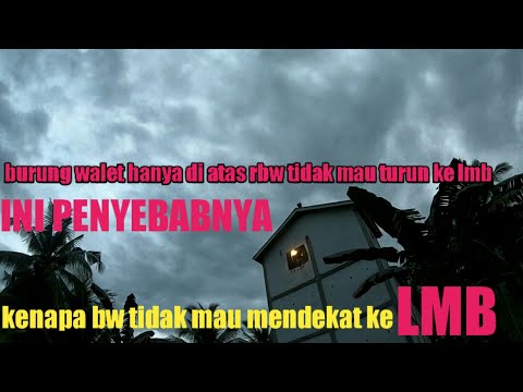 Video: Menghadap: Hanya Sebab 3