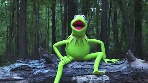 My Ice Bucket Challenge