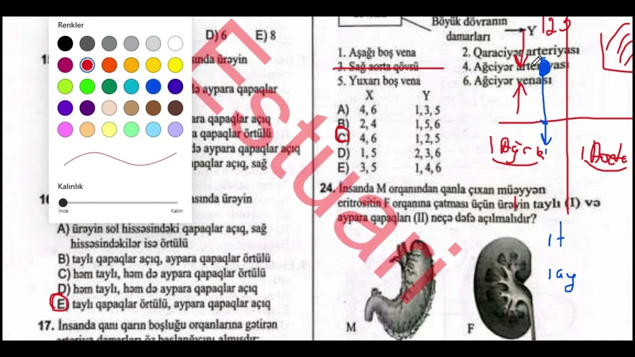 Ürək və qan damarları (1-50) | Qan, qan dövranı,tənəffüs | Biologiya DİM test toplusu 2025