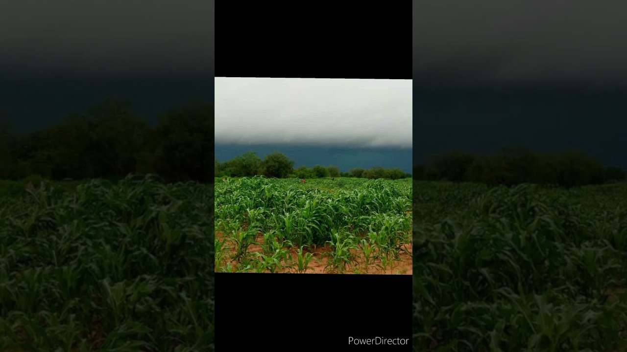 Djeli Foune Modibo  Adama Goita