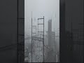 突然の激しい雷雨 #Shorts #大雨 #なにわ金太郎