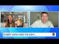 The story behind a dog's love for hot dogs