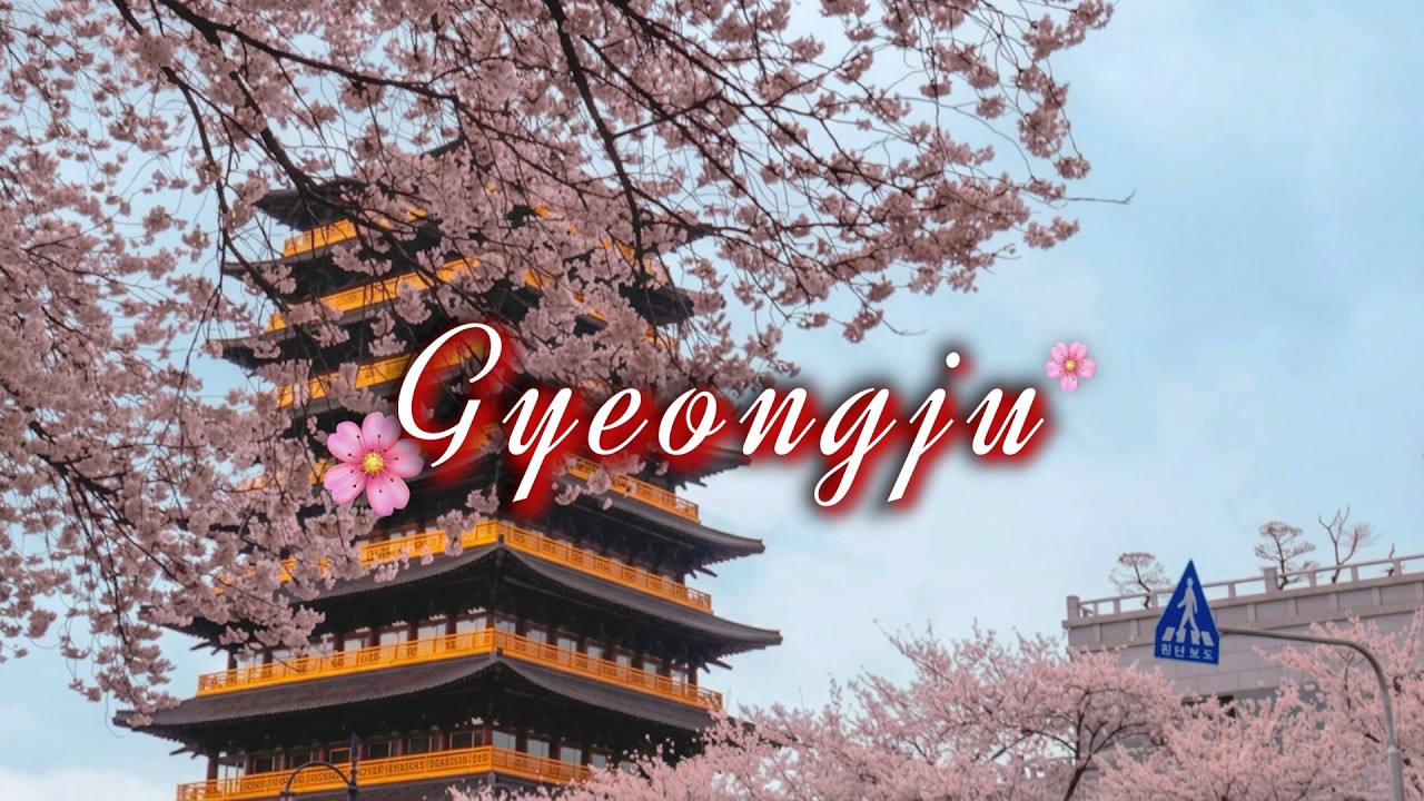 3월 벚꽃 피는 경주🌸