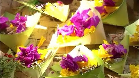 Canang : Beautiful Hindu Balinese Offering, Ubud- Bali