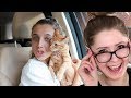 I DID SOMETHING CRAZY (i adopted a cat....) - Emma Chamberlain Reaction