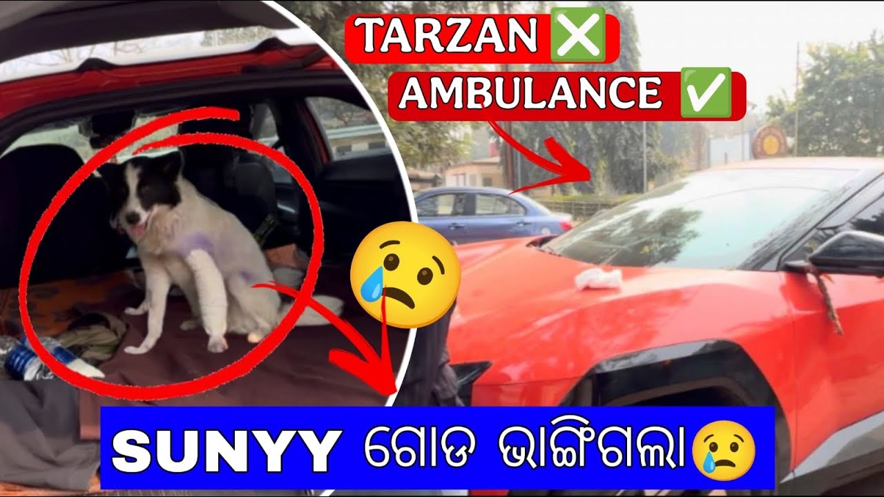 SUNNY ର ଗୋଡ ଭାଙ୍ଗିଗଲା 🥲 | TARZAN ରେ ଗଲା ଭୁବନେଶ୍ୱର 