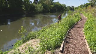 Over 2,000 volunteers take part in Chicago River Day