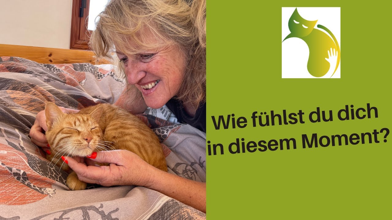 Wie lerne ich wieder fühlen? Ich lade dich ein zu spüren und somit zu