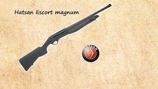 Hatsan Escort Magnum 12g Semi Auto Shotgun First Impressions