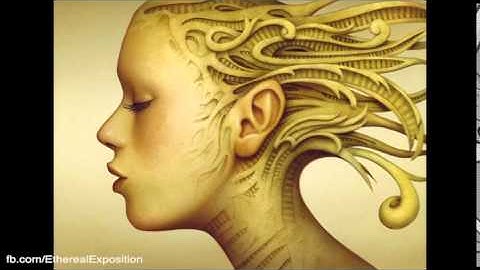 Terence Mckenna Rimshots 084   Reality Hacking