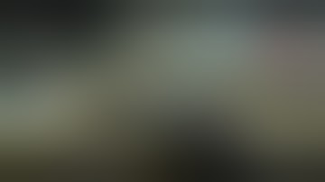 NC6, NOdeL un.org oli wildlifestudios.com vivendi.com gameloft.com Asphalt U0 n De12 Sky W0 8151862