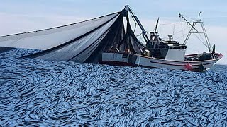 Everyone should watch this Fishermen's video - fishermen catch hundreds ton anchovies at sea #04