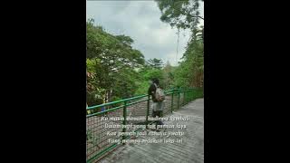Masih Setia Menanti ~ Lagu sedih dari TNC Music Studio