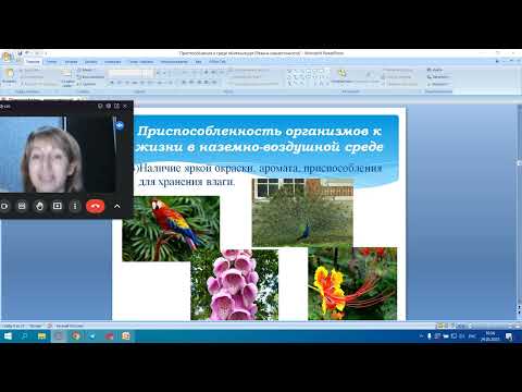Приспособления организмов к среде обитания