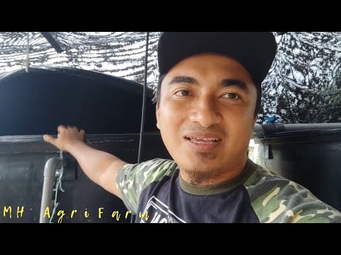 Setup Fertigasi Ep. 1 - Tangki air dan Motor air untuk pengairan