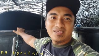 Setup Fertigasi Ep. 1  Tangki air dan Motor air untuk pengairan