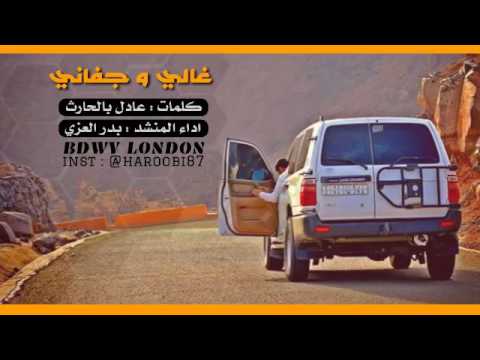 شيلة غالي وجفاني مسرعه