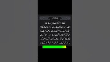 سورة الروم ٣٧-٣٩ | محمد الفقيه | Surah Ar-Rum 37-39 | Mohamed Alfakeh