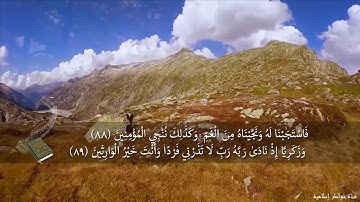 اسلام صبحي | مزمار من مزامير ال داوود | سورة القلم ( نون) |حالات واتس اب دينيه
