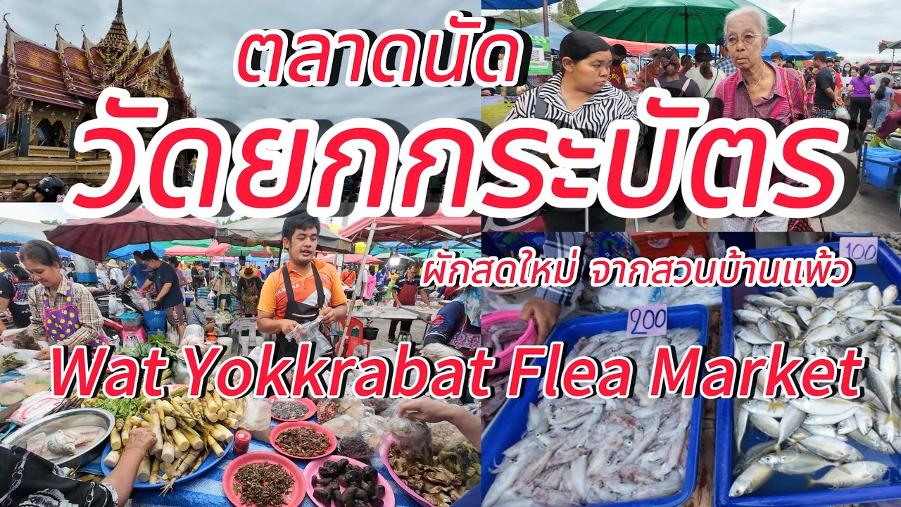 ตลาดนัดใหญ่วันอาทิตย์!!!ผักสดใหม่จากสวนบ้านแพ้ว ตลาดนัดวัดยกกระบัตร!!! Wat Yokkrabat Flea Market 