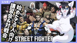 【Twitch同時配信/SF6】はじめたての人向けの講習会＆対戦会