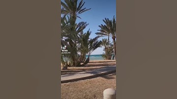 @قران كريم # آيات من الذكر الحكيم