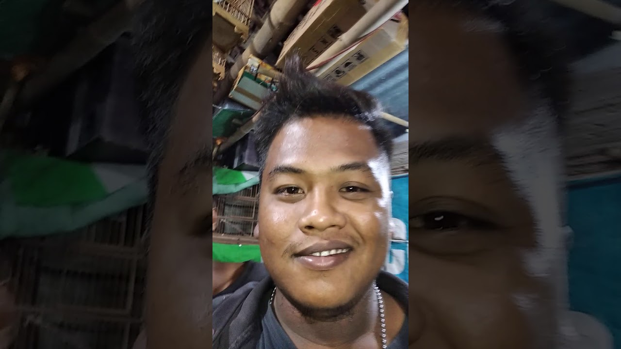 Maryono cs soglong.. Maryono Rep tuku burung pleci 