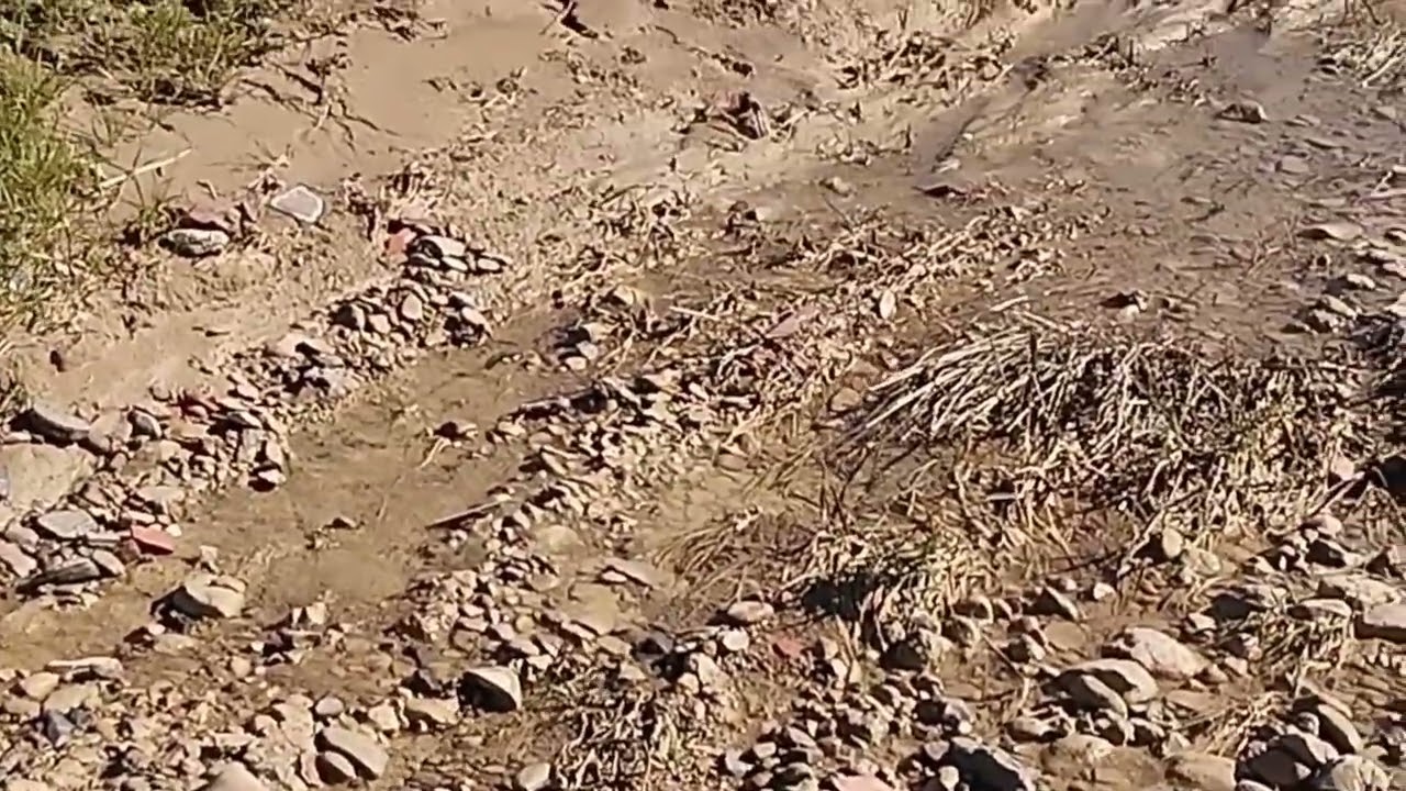 جولة في سيدي حمو مفتاح مع اجواء رمضان المبارك🌙🎊👍