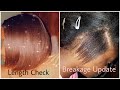 Hair Update on Length and Breakage |Relaxed Hair