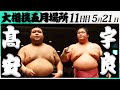 大相撲　髙安ー宇良＜令和7年五月場所・１１日目＞SUMO