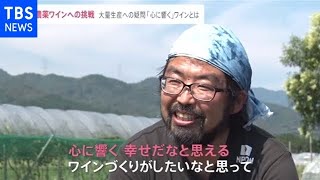 “無農薬ワインづくり”困難に立ち向かう醸造家の思い