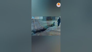 Joshimath Sinking | Joshimath News | #yt22 #shorts #joshimath #joshimathcrisis #joshimathsinking