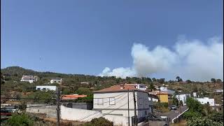 El conato de incendio se ha producido en la zona de Las Casillas, en El Pinar, El Hierro.