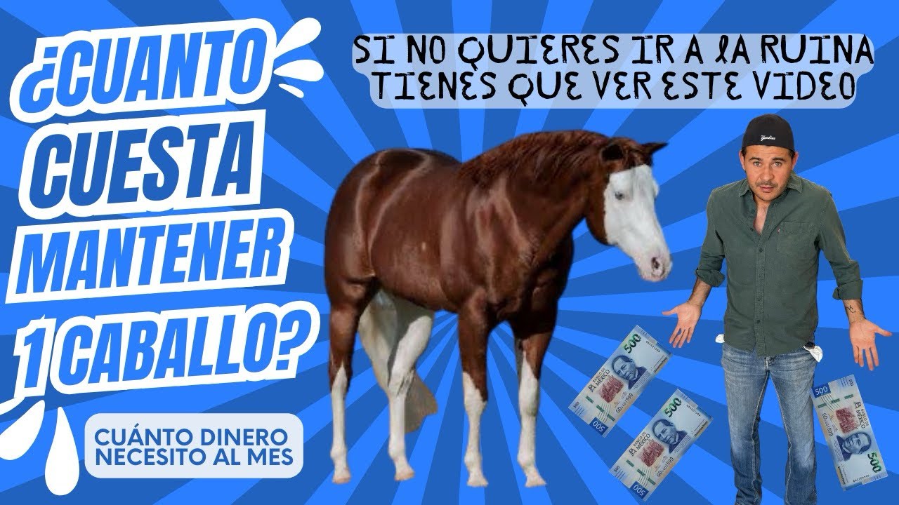 Cuanto cuesta mantener un caballo