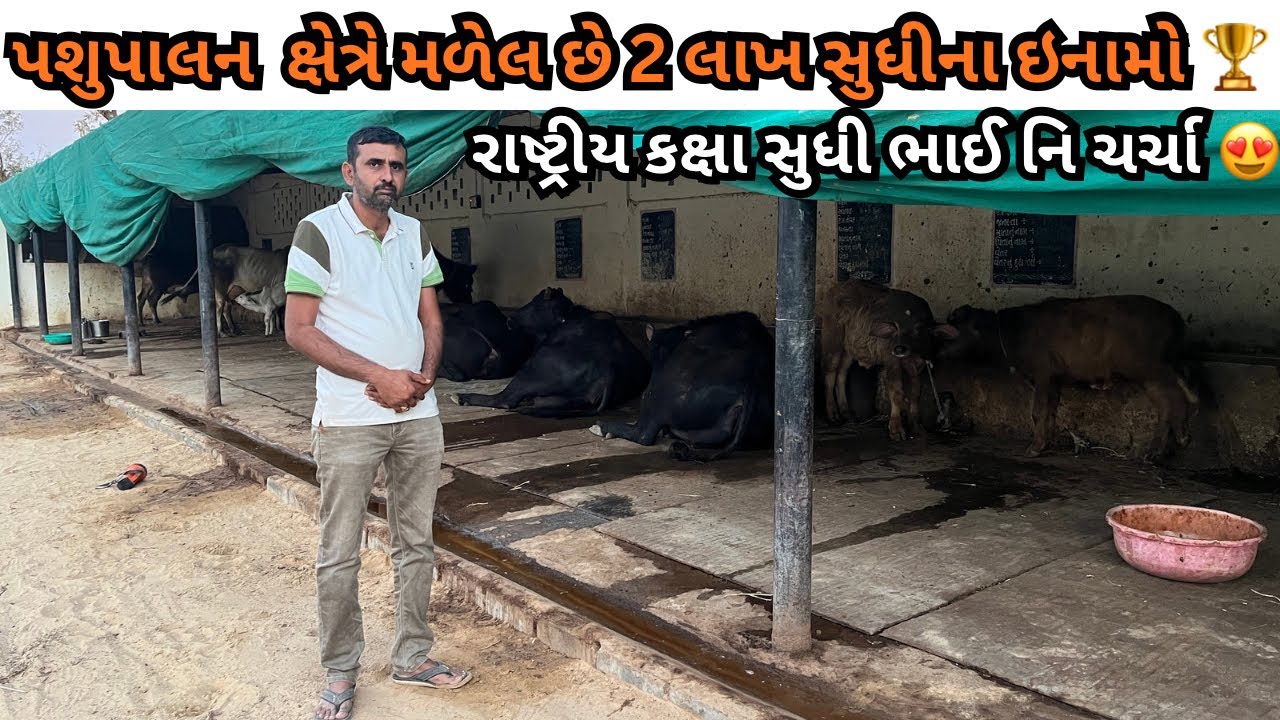 🏆 પશુપાલન ક્ષેત્રે 2 લાખ સુધીના ઇનામ | રાષ્ટ્રીય કક્ષા સુધી પહોંચેલા ડોક્ટર પશુપાલક